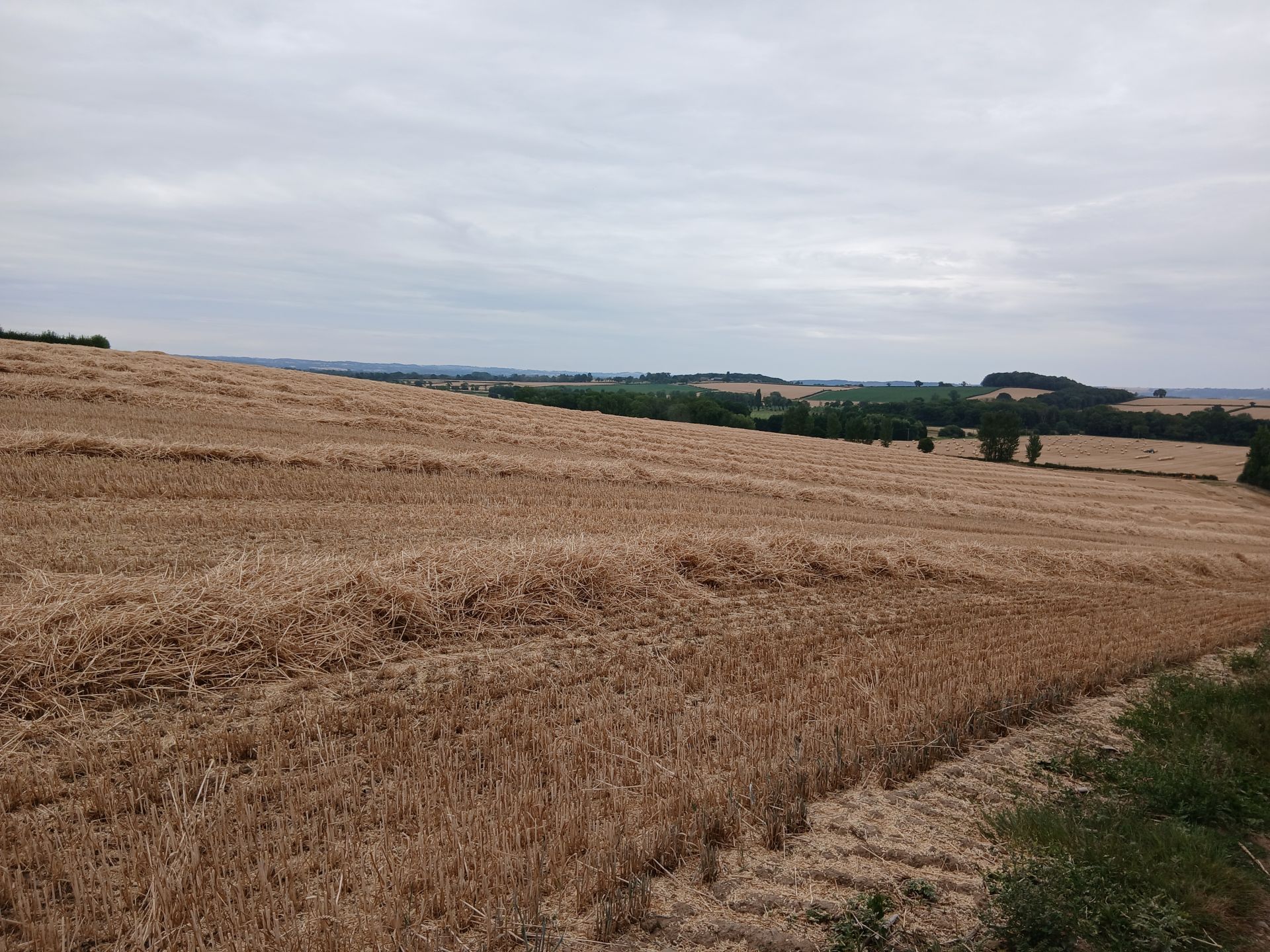 Shobdon View